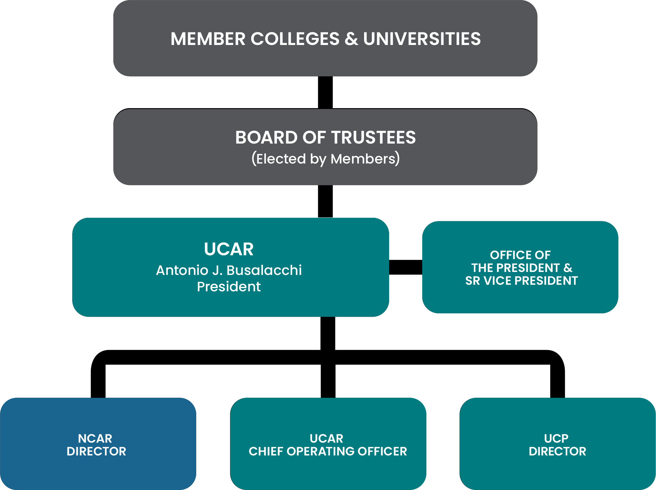 Organizational Chart Corporation